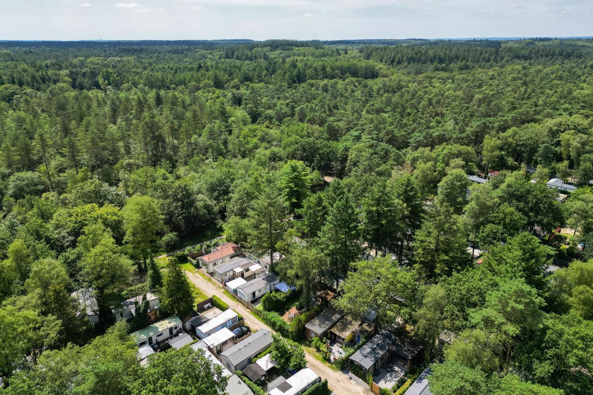 Veluwe Hoenderloo Luxury Chalet With Private Sauna And Hot Tub - Swimming Pool Tennis Court Supermarket Bowling Alley Theatre And Entertainment For Children Exterior photo